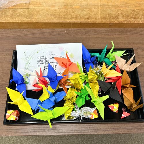 ご家族みんなで折った折鶴。お手紙を書いてお供えしました。